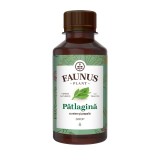 Sirop pentru tuse de Patlagina cu miere si propolis, 200ml, Faunus Plant