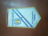 fanion matase ASOCIATIA ISRAELIANA DE FOTBAL