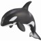 Figurina Pui de Orca M Collecta