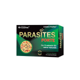 Parasites Forte Total Cleanse&reg;, 30 comprimate, Cosmopharm