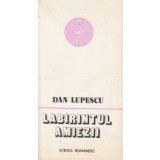 Labirintul amiezii
