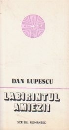 Labirintul amiezii foto
