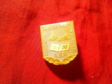 Insigna Asociatia Rebusistilor din Romania - ARR , metal si email , h=2.4cm