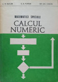 MATEMATICI SPECIALE CALCUL NUMERIC-C.M. BUCUR, C.A. POPEEA, GH.GH. SIMION