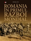 Rom&acirc;nia &icirc;n Primul Război Mondial - Hardcover - Petre Otu - Litera