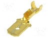 Terminal tip plat, pentru surub {{Orificiu pentru &amp;#351;urub}}, BM GROUP - BM 01180