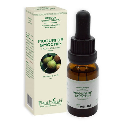 Concentrat muguri smochin 15ml foto