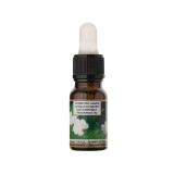 Ulei parfumat cu aroma de Iasomnie, 10 ml, odorizant de camera, ATU-088430