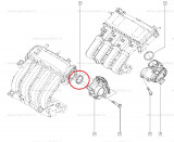 Garnitura etansare clapeta acceleratie Renault Twingo 2, Kangoo, Clio 3 , 7701059328 Kft Auto, Automobile Dacia Mioveni