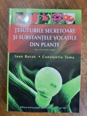 Tesuturile secretoare si substante volatile din plante - Ioan Burzo / R4P3F foto