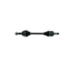 Planetara fata MARELLI, Citroen Jumper, 04.2006-; Fiat Ducato (250/290), 07.2006-; Peugeot Boxer, 2006-, partea stanga,
