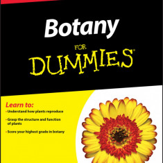 Botany For Dummies | Rene Fester Kratz