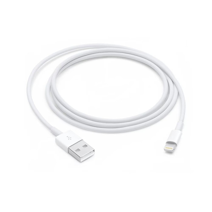 Cablu iPhone - 1 Metru | Conector Lightning (8 pini)