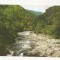CB1 - Carte Postala- Baile Herculane, Valea Cernei, necirculata