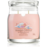 Yankee Candle Watercolour Skies lum&acirc;nare parfumată Signature 368 g
