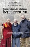 Cumpara ieftin Trei prieteni, in cautarea intelepciunii. Un calugar, un filosof si un psihiatru ne vorbesc despre lucrurile esentiale/Cristophe Andre, Matthieu Ricar