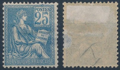 France 1900 Definitives Allegory 25C Mi.94 Yv.114 MH AM.473 foto