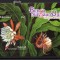 Malaysia 2008, Flora, serie neuzata, MNH
