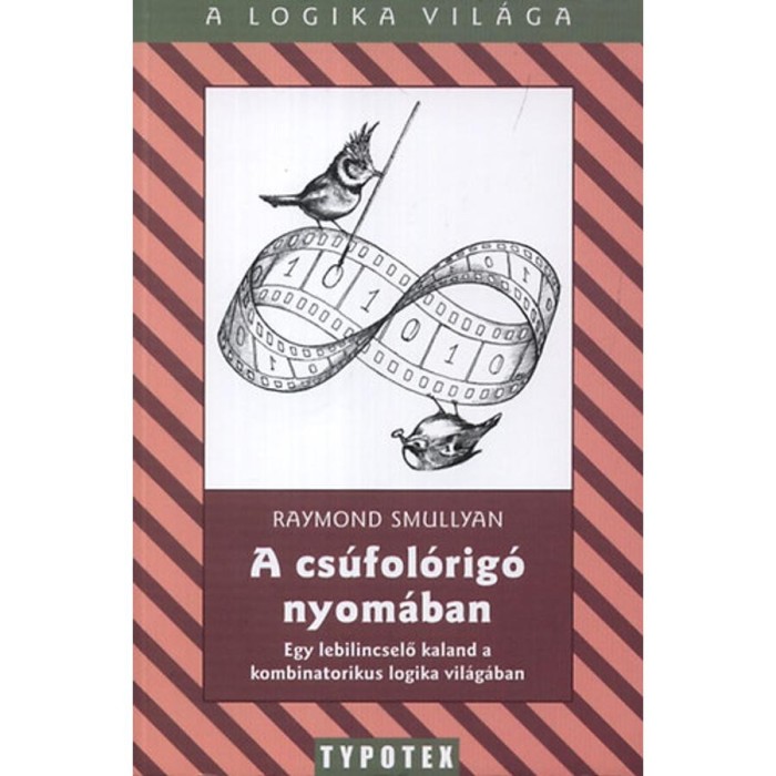 A cs&uacute;fol&oacute;rig&oacute; nyom&aacute;ban - Egy lebilincselő kaland a kombinatorikus logika vil&aacute;g&aacute;ban - Egy lebilincselő kaland a kombinatorikus logika vil&aacute;g&aacute;ban - Raymo