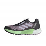 Pantofi Sport adidas TERREX AGRAVIC FLOW 2 W