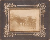 P2/213 Trăsură cu birjar muscal