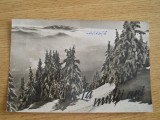 MRC - CARTI POSTALE MUNTII CARPATI NR 1