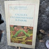 A. Popovici Baznosanu, Calauza excursionistului in padure