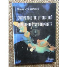 Traian Liviu Biraescu - Compendiu de literatura universala si comparata