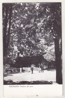 bnk cp Caciulata - Vedere din parc - circulata foto