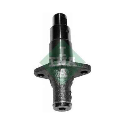 INA intinzator, lant distributie foto