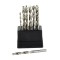 Set burghie pentru metal HSS 1-10mm, 19 piese, GEKO G38214