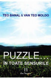 Puzzle... In toate sensurile vol.2 - Teo Banal, Van Teo Moldo