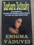 Enigma Vaduvei - Barbara Delinsky, Roman de Dragoste, Editura Orizonturi, 2004, 326 Pagini, Paperback