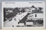 PUCIOASA - VEDERE GENERALA CU PRIMARIA , ANII &#039;20