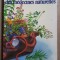 Mini-encyclopedie des medecines naturelles
