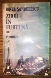 Ionel Sandulescu - Zbor in furtuna - II