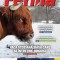 Revista FERMA NR 6 -- 1-14 APRILIE 2021