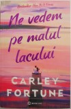 Ne vedem pe malul lacului - Carley Fortune, Roman de Beletristica