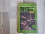 Stapanii adancurilor de Dan Apostol
