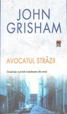 Avocatul Strazii - John Grisham, Rao, 2005, Romana, Paperback, Carte Politista