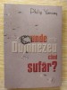 Unde este Dumnezeu cand sufar? - Philip Yancey