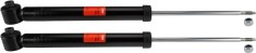 TRW JGT395T TRW TWIN amortizor foto