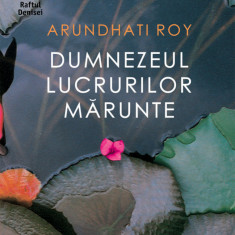 Dumnezeul lucrurilor mărunte (ebook)