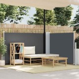Cumpara ieftin Copertină laterală retractabilă, antracit, 120 x 600 cm