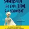 Sambata in care totul s-a schimbat &ndash; Sophie van Llewyn