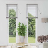 Jaluzea pentru Fereastră Argintiu 60 x 220 cm Aluminiu