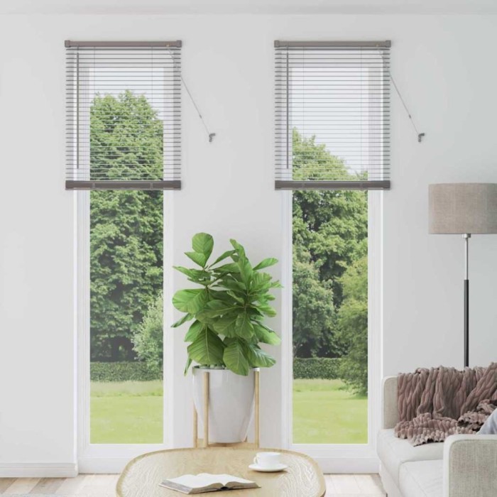 Jaluzea pentru Fereastră Argintiu 60 x 220 cm Aluminiu