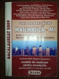 Ghid de pregatire matematica M1 bacalaureat 2009- Carmen Angelescu, Nicolae Baciu