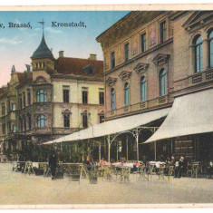 SV * Brasov PREFECTURA * CAFENEAUA TRANSILVANIA * antebelica