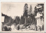 bnk cp Borsec - Spre izvoare - uzata 1955 - Libraria noastra